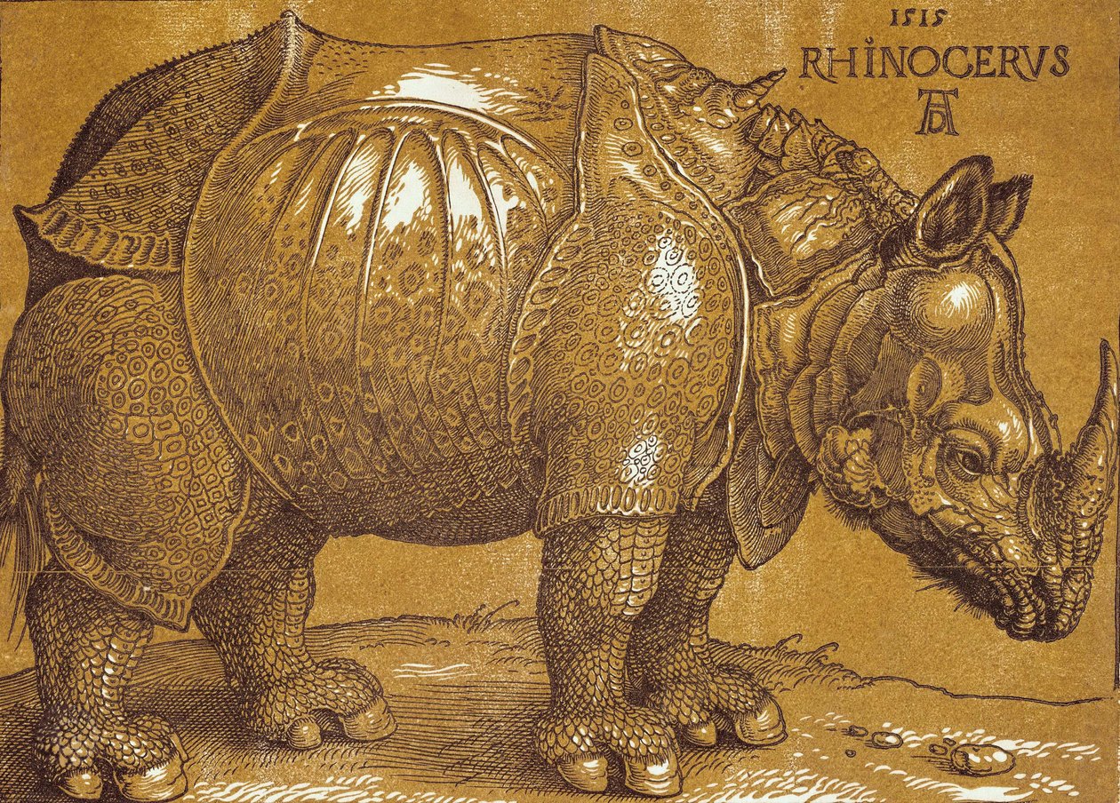 El rinoceronte, 1515 de Albrecht Dürer