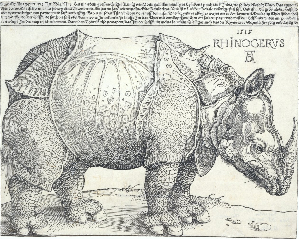 El rinoceronte de Albrecht Dürer
