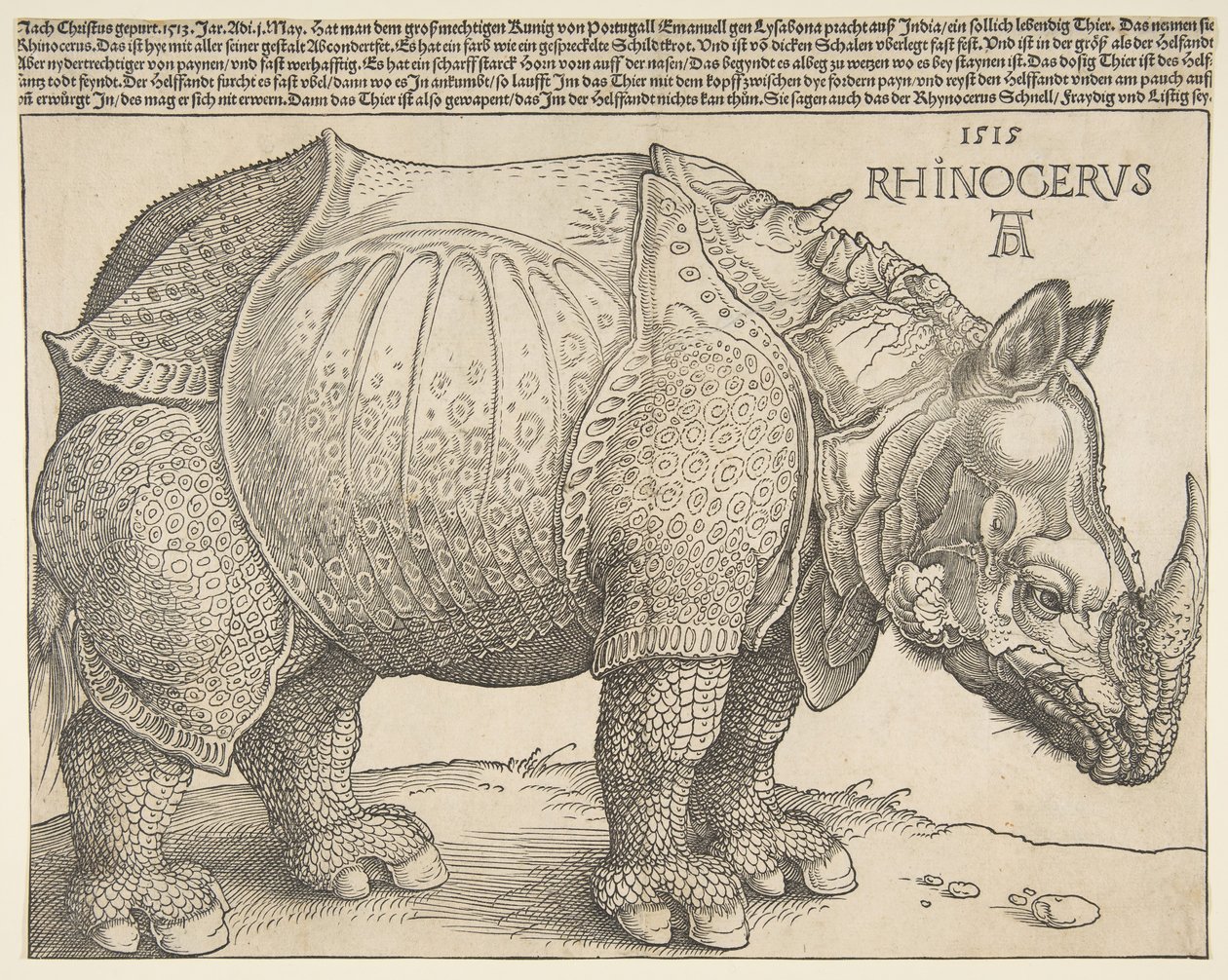 El rinoceronte de Albrecht Dürer