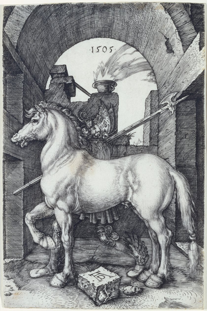 El Caballo Pequeño, 1505 de Albrecht Dürer
