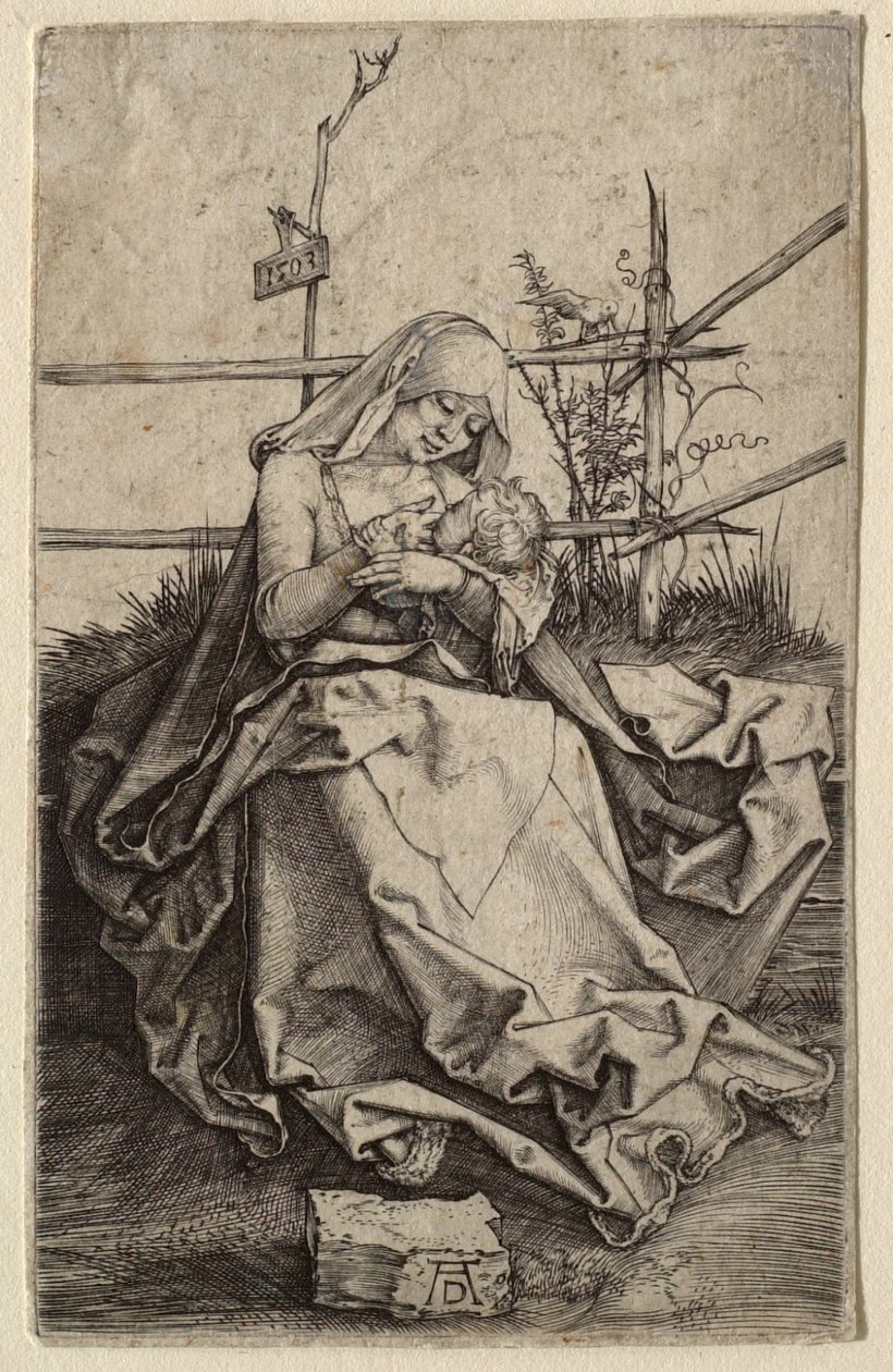 La Virgen y el Niño sobre un banco de césped de Albrecht Dürer
