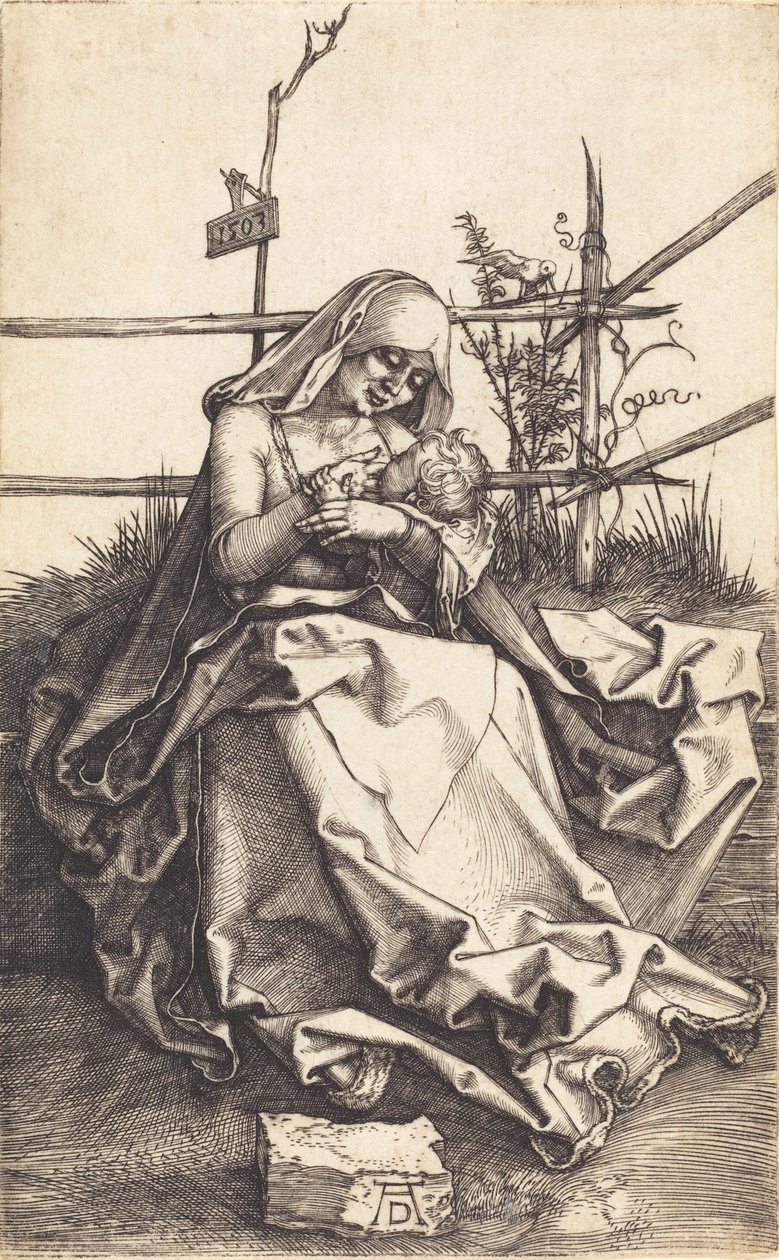 La Virgen y el Niño en un banco de hierba, 1503 de Albrecht Dürer