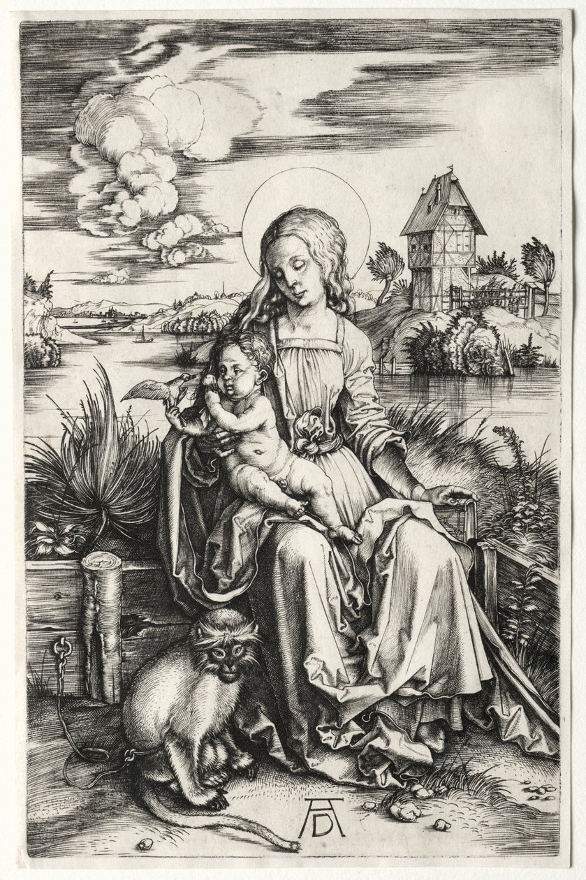La Virgen y el Niño con un mono, c. 1498 de Albrecht Dürer