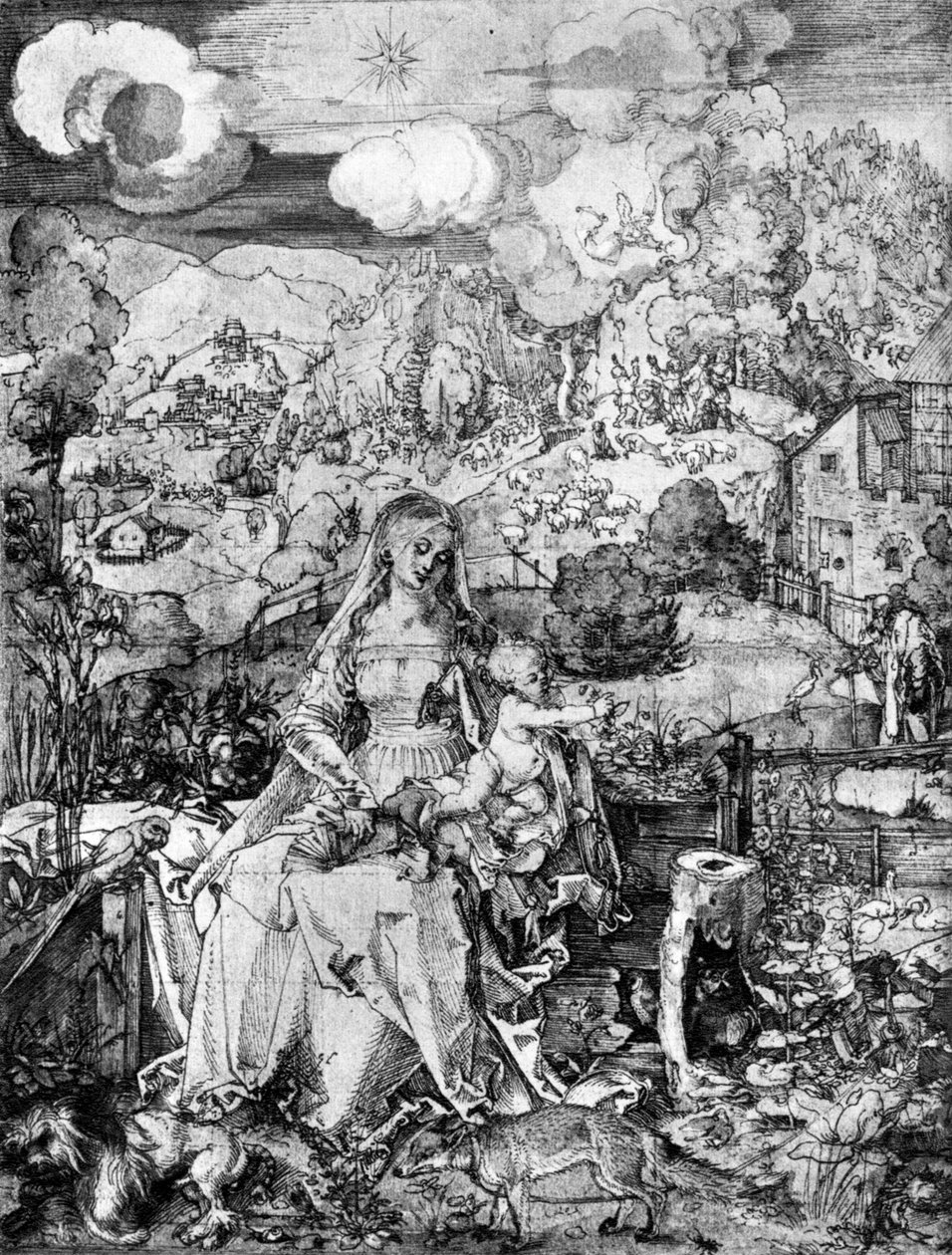 La Virgen y muchos animales, 1505, 1936 de Albrecht Dürer