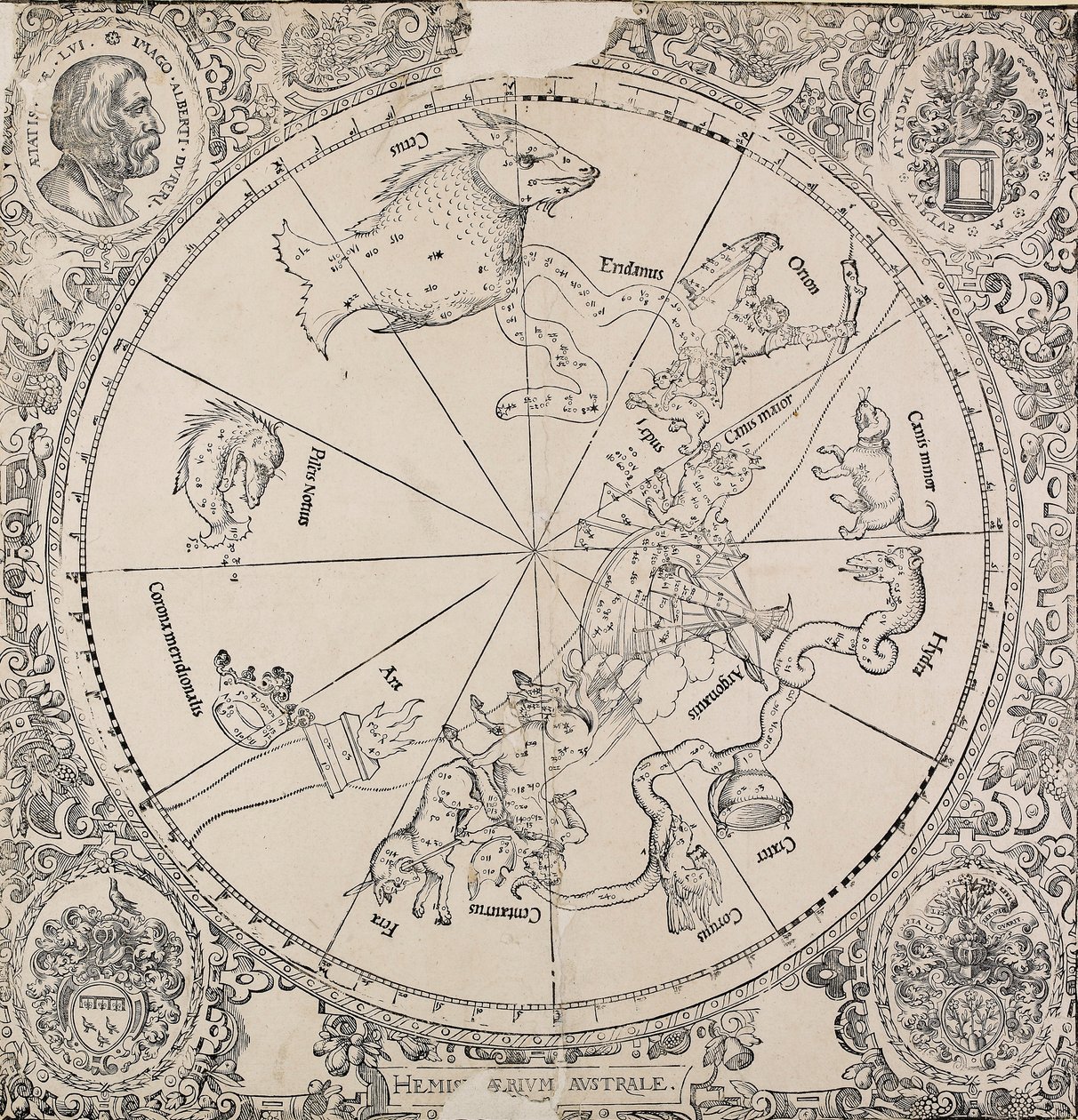 El mapa celestial del hemisferio sur, principios del siglo XVI de Albrecht Dürer