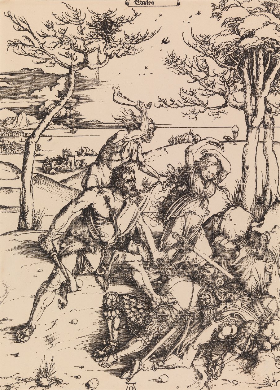 Sin título de Albrecht Dürer