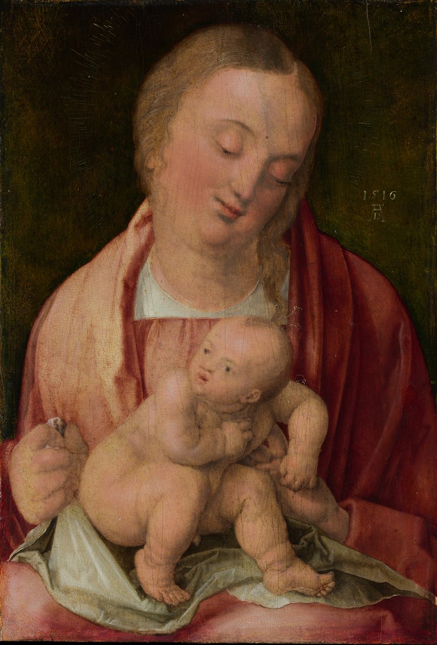 Virgen y Niño, 1516 de Albrecht Dürer