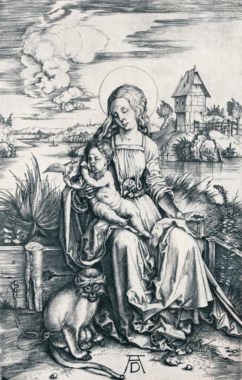 Virgen y Niño con un Mono, 1506 1906 de Albrecht Dürer