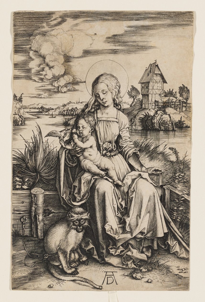 La Virgen con el Niño y el mono de Albrecht Dürer