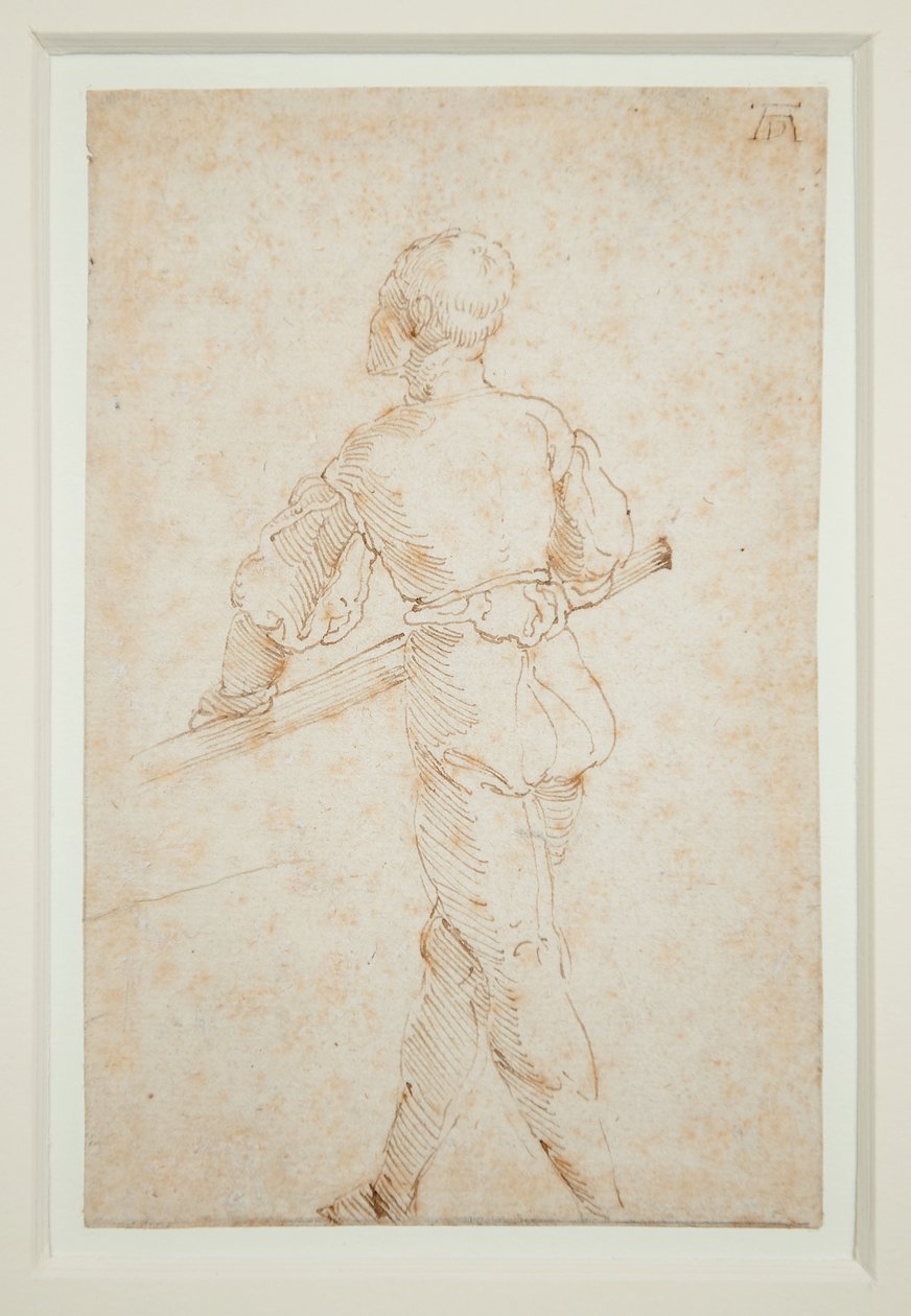 Un Hombre con un Remo, c.1520-21 de Albrecht Dürer