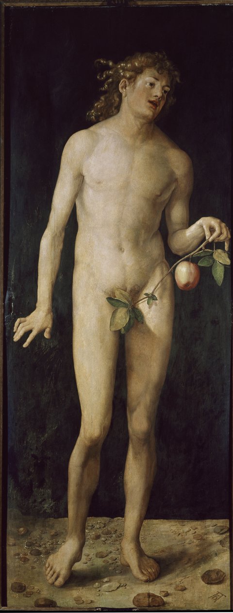 Adán de Albrecht Dürer