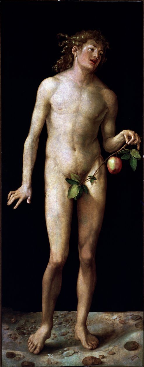  de Albrecht Dürer or Duerer