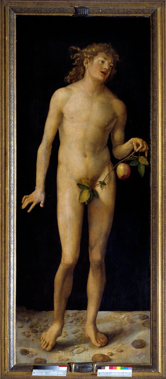 Adán. Pintura de Albrecht Durer (1471-1528) 1507 Madrid, Museo del Prado de Albrecht Dürer
