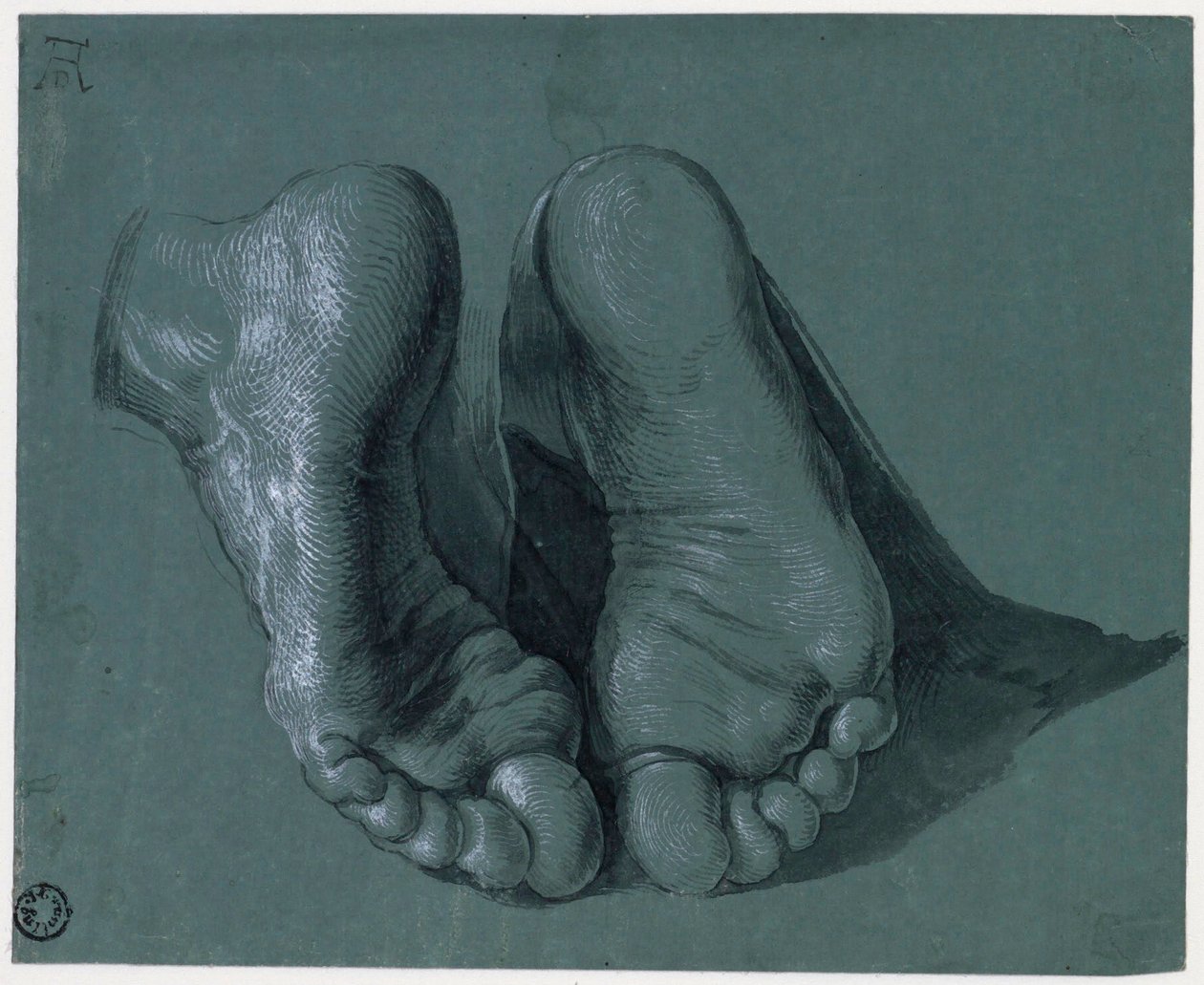 Etude de pieds - Estudio de dos pies - Dibujo de Albrecht Durer (1471-1528), acuarela, color blanco, tiza negra sobre papel, c1508 (17,6x21,6 cm) - Museo Boijmans Van Beuningen, Rotterdam de Albrecht Dürer