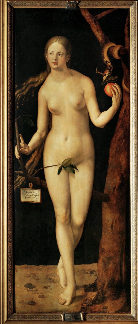 Eve de Albrecht Dürer or Duerer