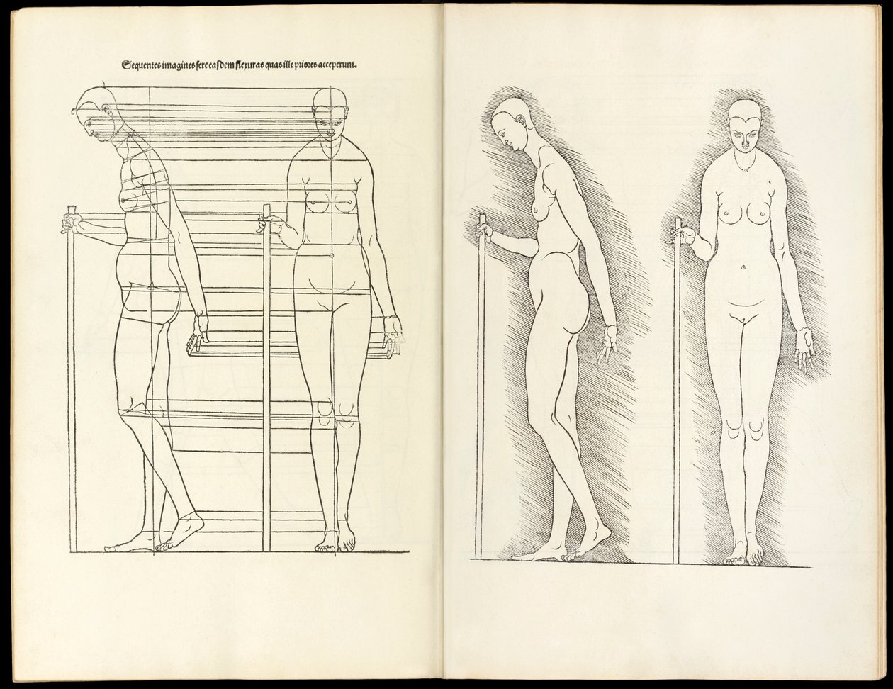 Mujer con bastón, xilografía anatómica de Hierinn sind begriffen vier bücher von menschlicher Proportion, 1528 de Albrecht Dürer