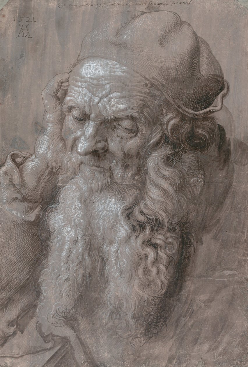Cabeza de un anciano de Albrecht Dürer
