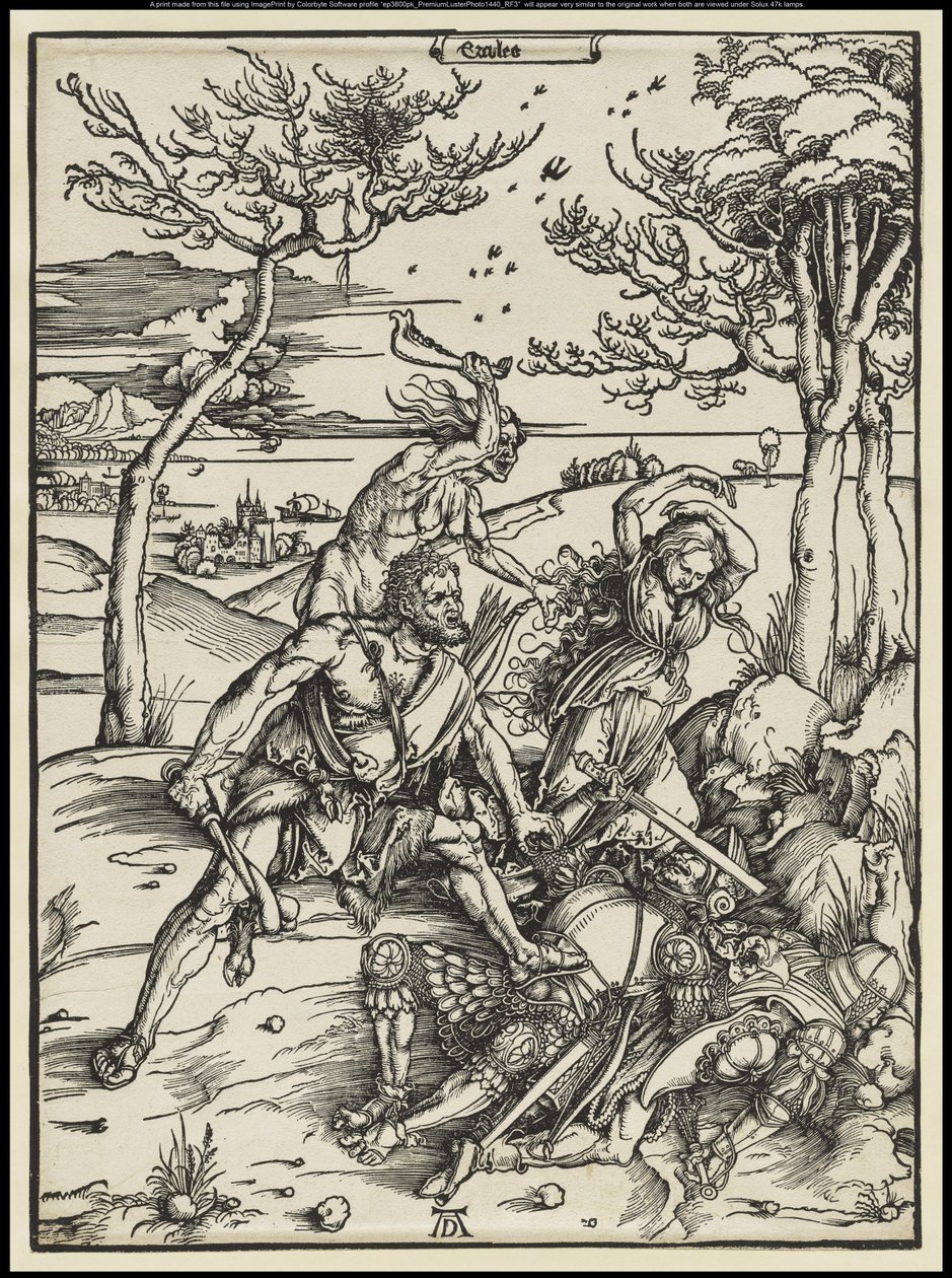 de Albrecht Dürer or Duerer