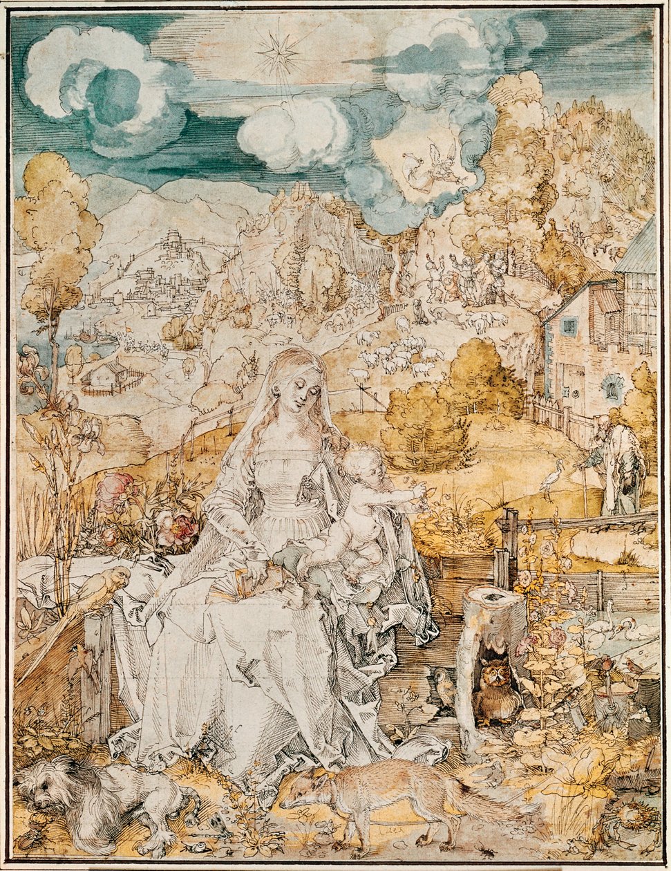 Madonna con multitud de animales (acuarela, pluma y pincel sobre papel) de Albrecht Dürer or Duerer