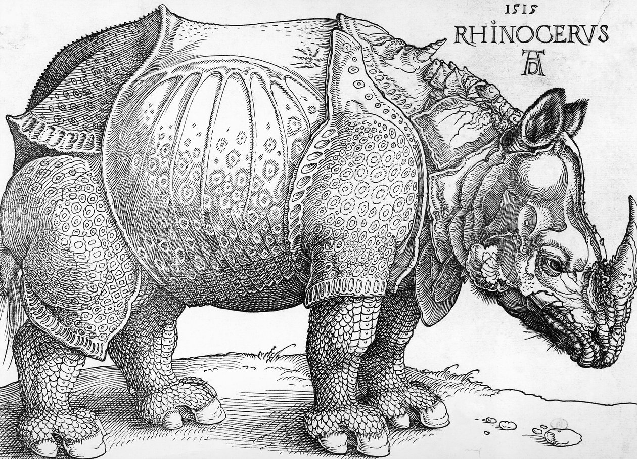 Rinoceronte de Albrecht Dürer