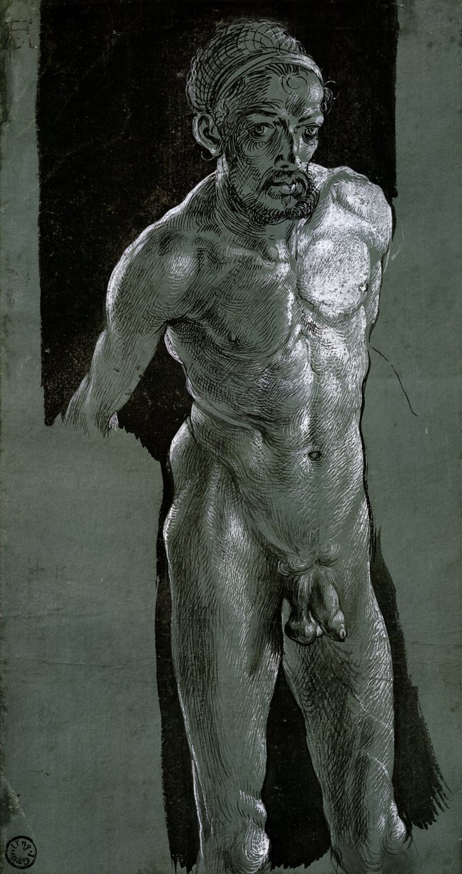 Autorretrato, c.1503 de Albrecht Dürer