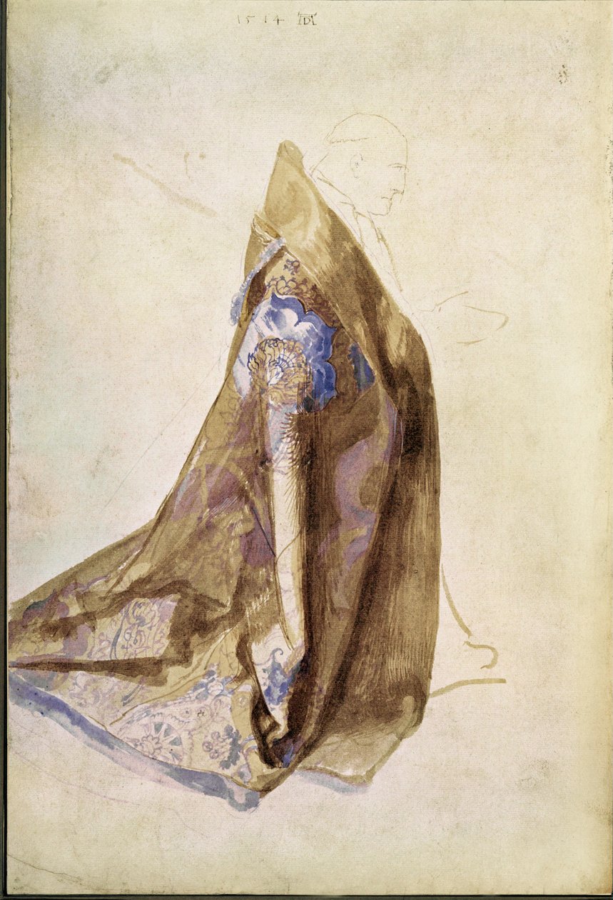 Estudio para el manto del Papa Julio II para La Virgen de la corona de rosas de Albrecht Dürer or Duerer