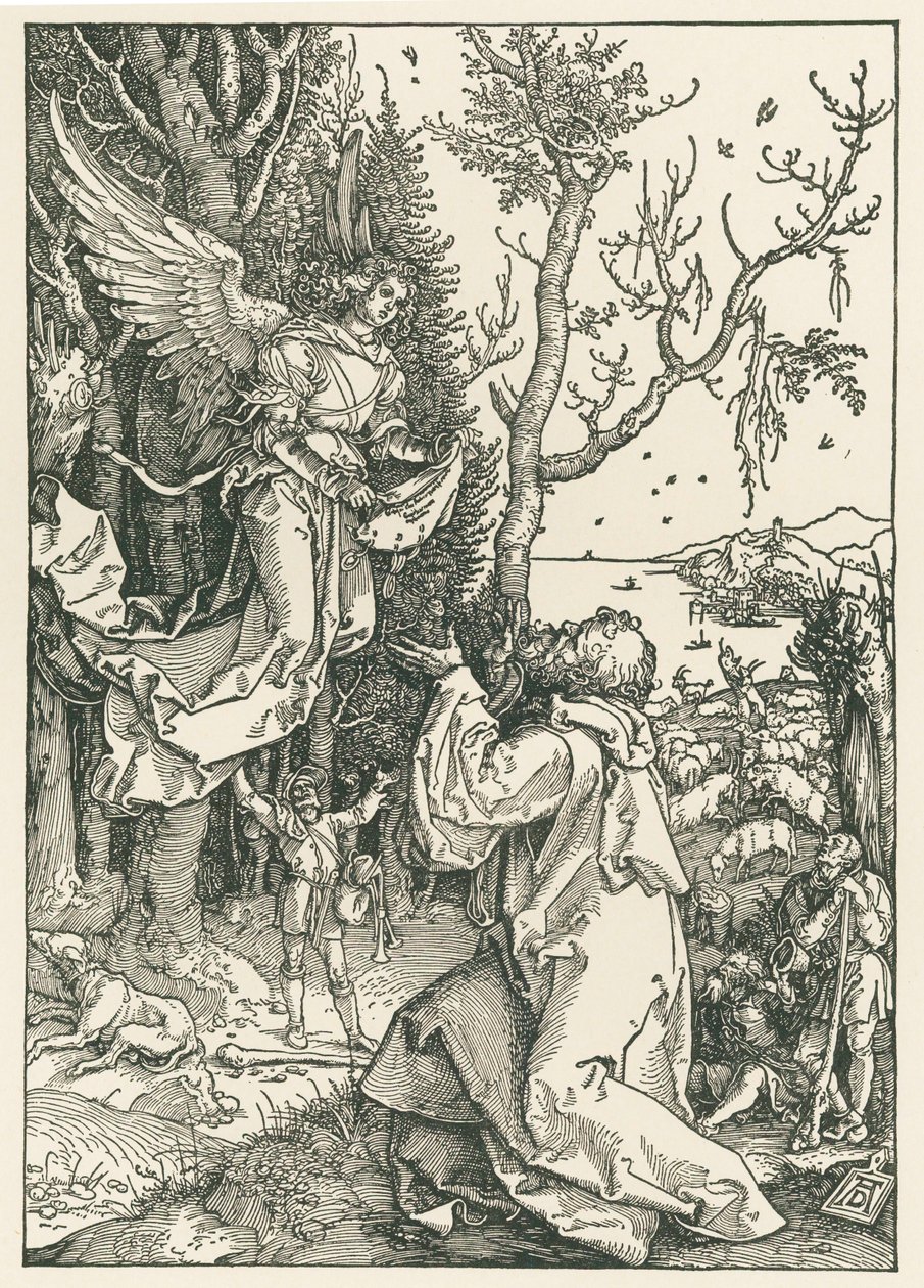 El ángel que trae el mensaje a Joaquín, c.1504 (xilografía) de Albrecht Dürer or Duerer