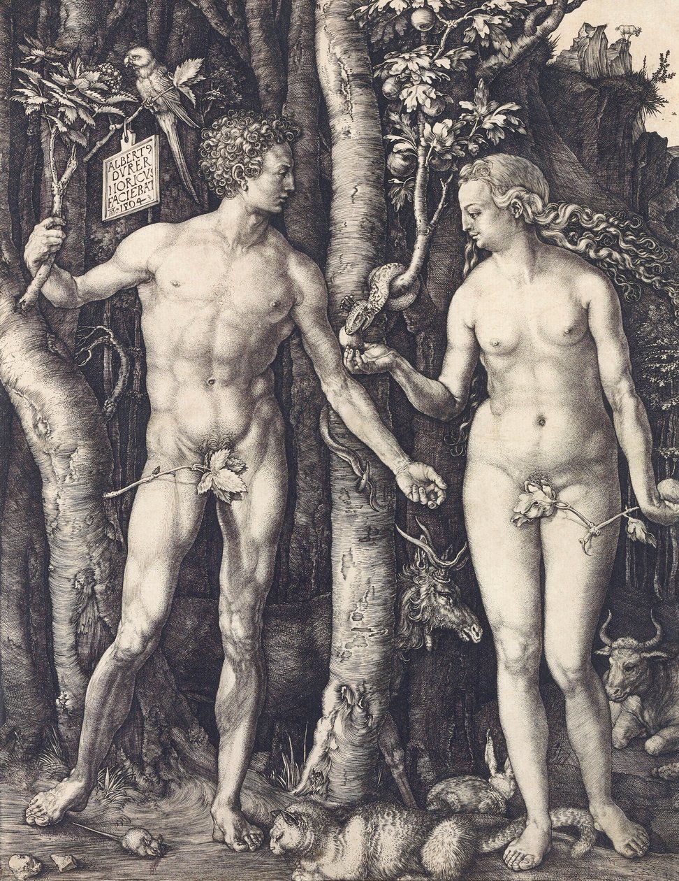 La caída del hombre por Albrecht Durer de Albrecht Dürer