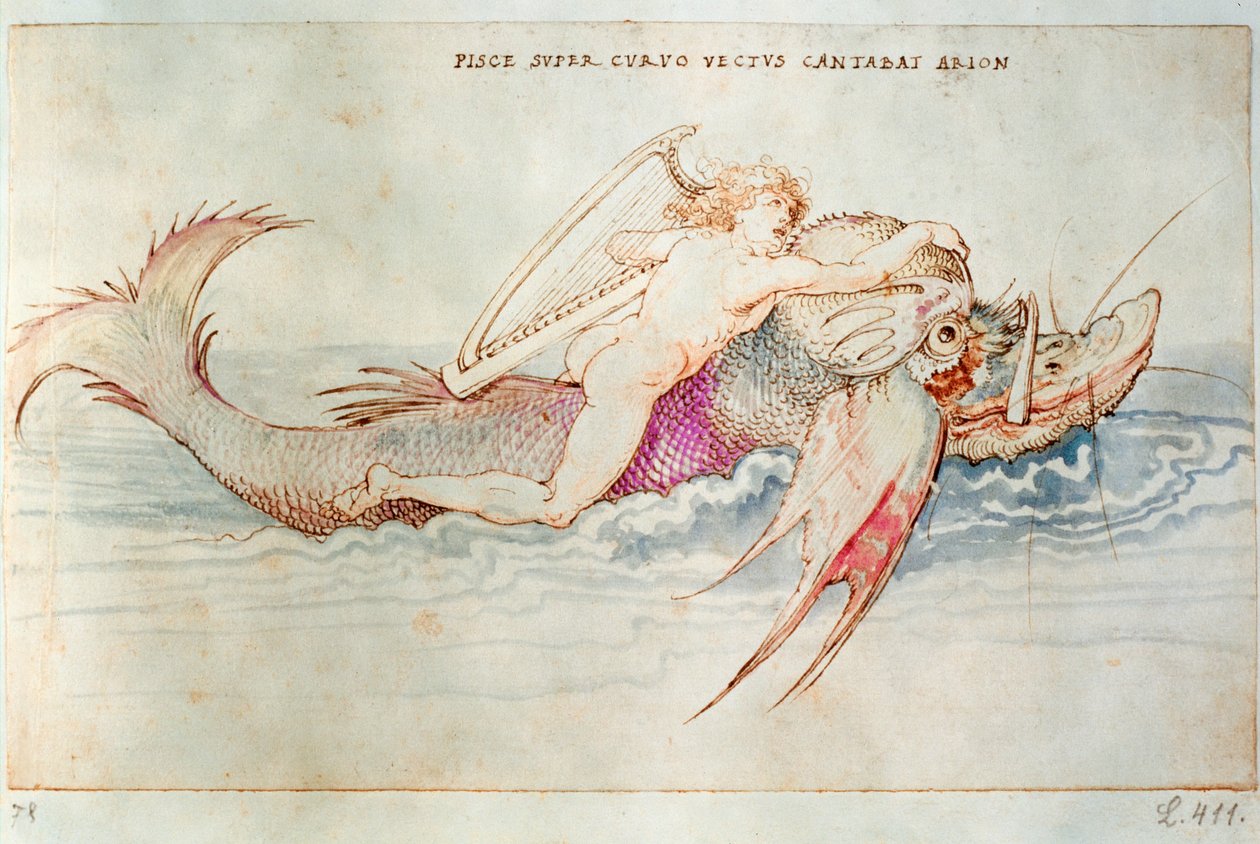El poeta griego Arión cabalgando sobre el delfín, c.1515 (acuarela sobre papel) de Albrecht Dürer or Duerer