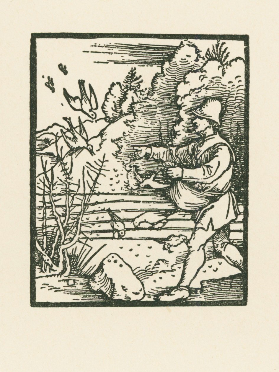 La parábola del sembrador de Albrecht Dürer or Duerer