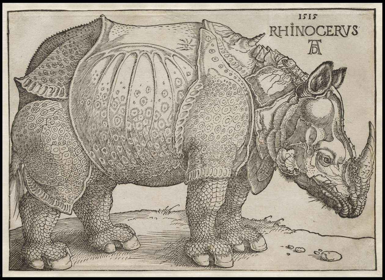 El rinoceronte, 1515 de Albrecht Dürer