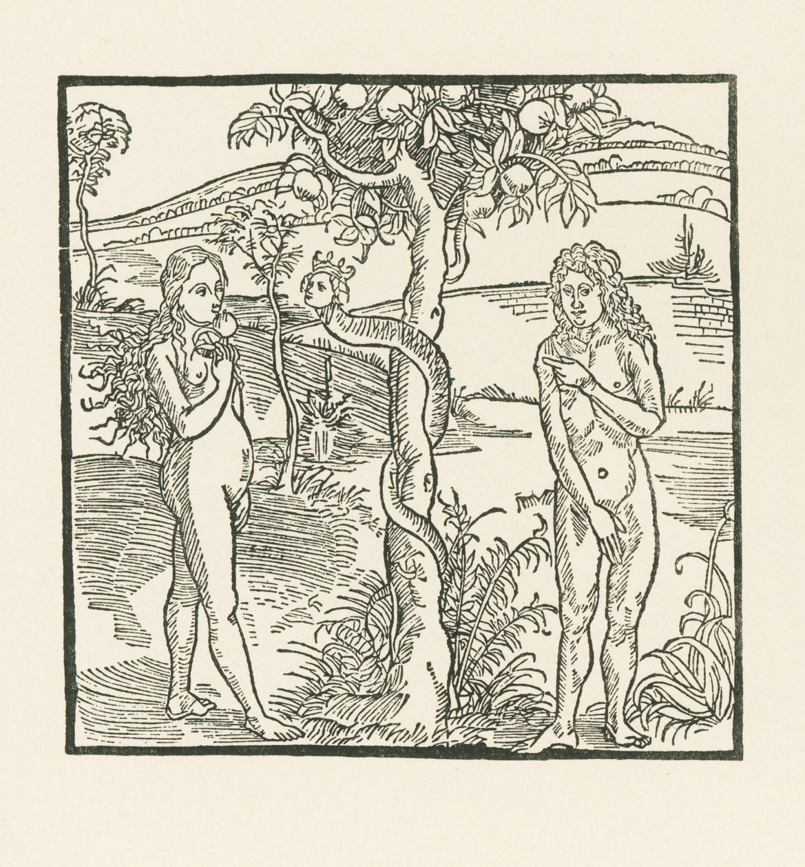 La caída. Ilustración de " Der Ritter von Turn " , c.1493-93 (xilografía) de Albrecht Dürer or Duerer