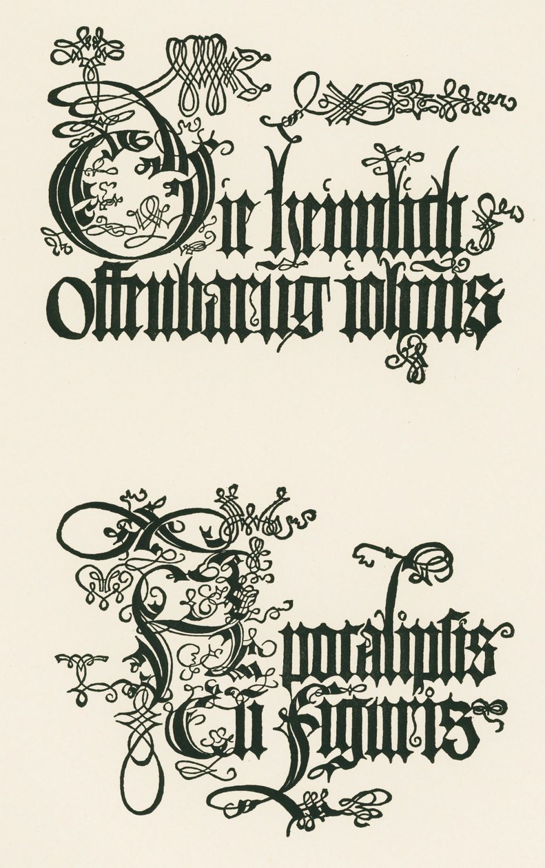 Título de la edición alemana de 1498: La Revelación Secreta de Juan ... de Albrecht Dürer or Duerer
