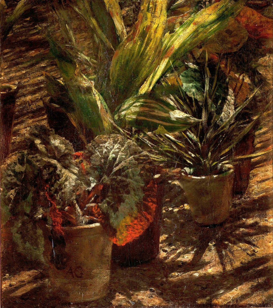 Begonias. de Aleksander Gierymski