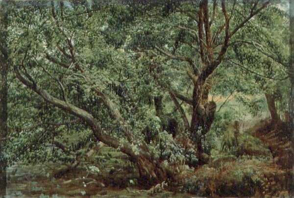 Árboles junto a un arroyo de Aleksandr Andreevich Ivanov