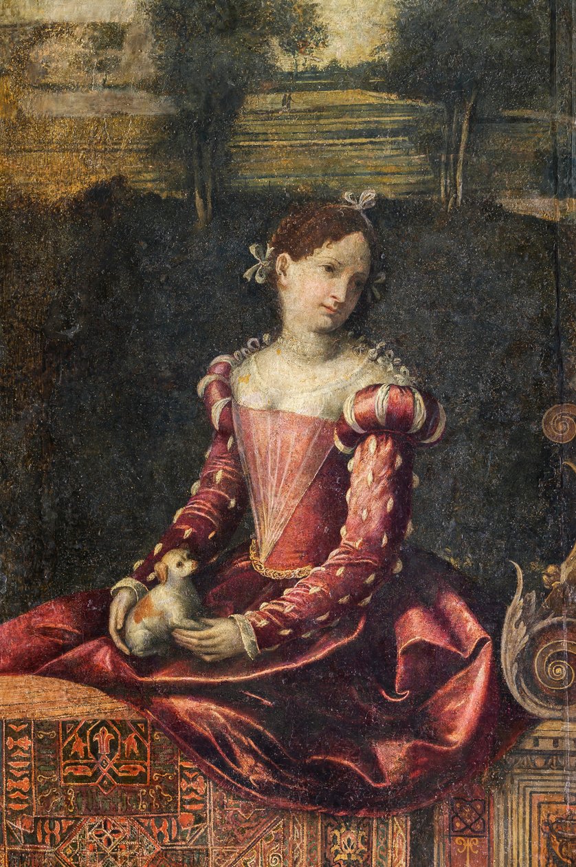 Retrato de una mujer de la nobleza, detalle de la Pequeña Sala de las Damas Nobles (óleo sobre lienzo pegado a las paredes) de Alessandro Bonvicino Moretto