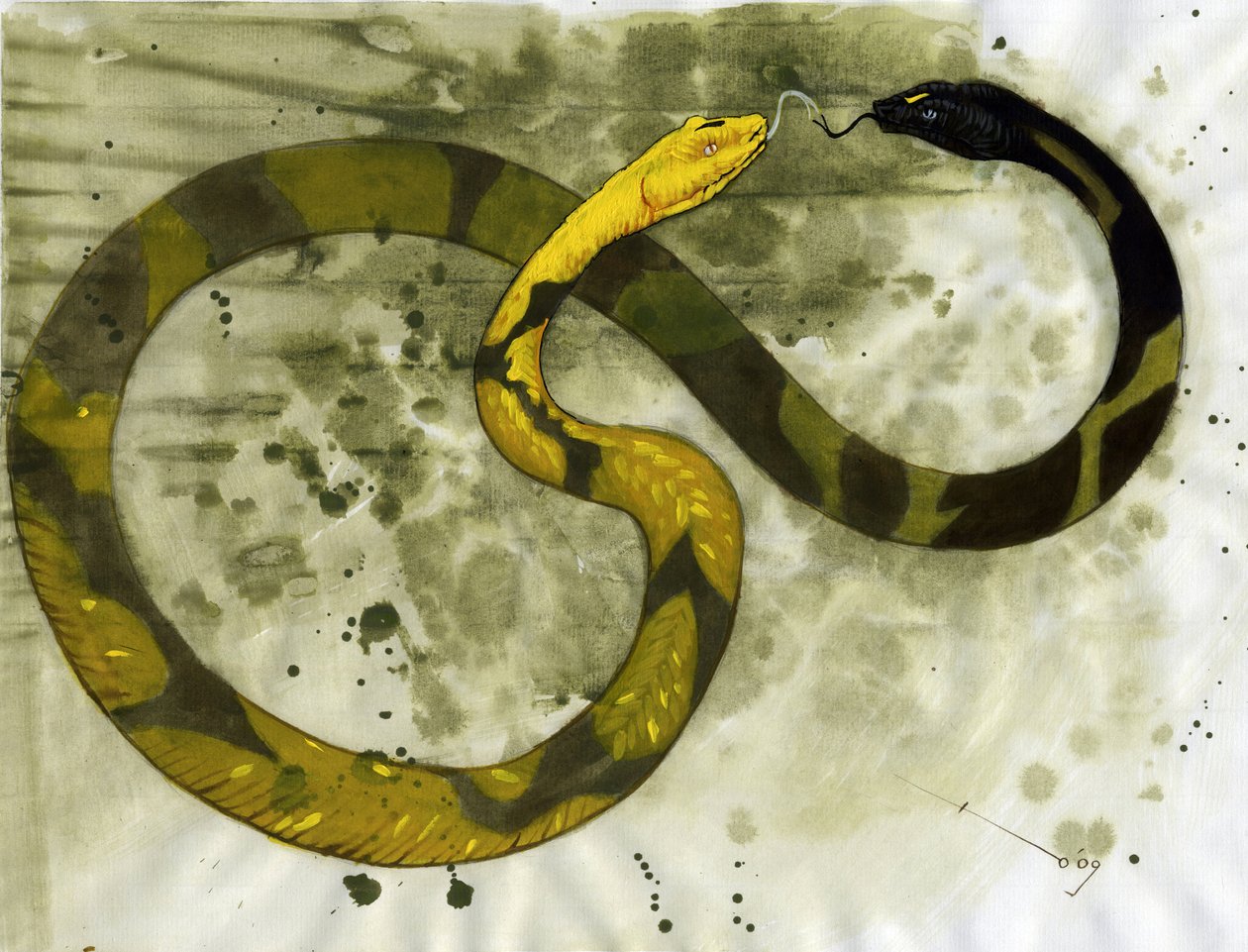Criatura fabulosa: representación de una Amphisbene, serpiente con dos cabezas. Dibujo de Alessandro Lonati de Alessandro Lonati