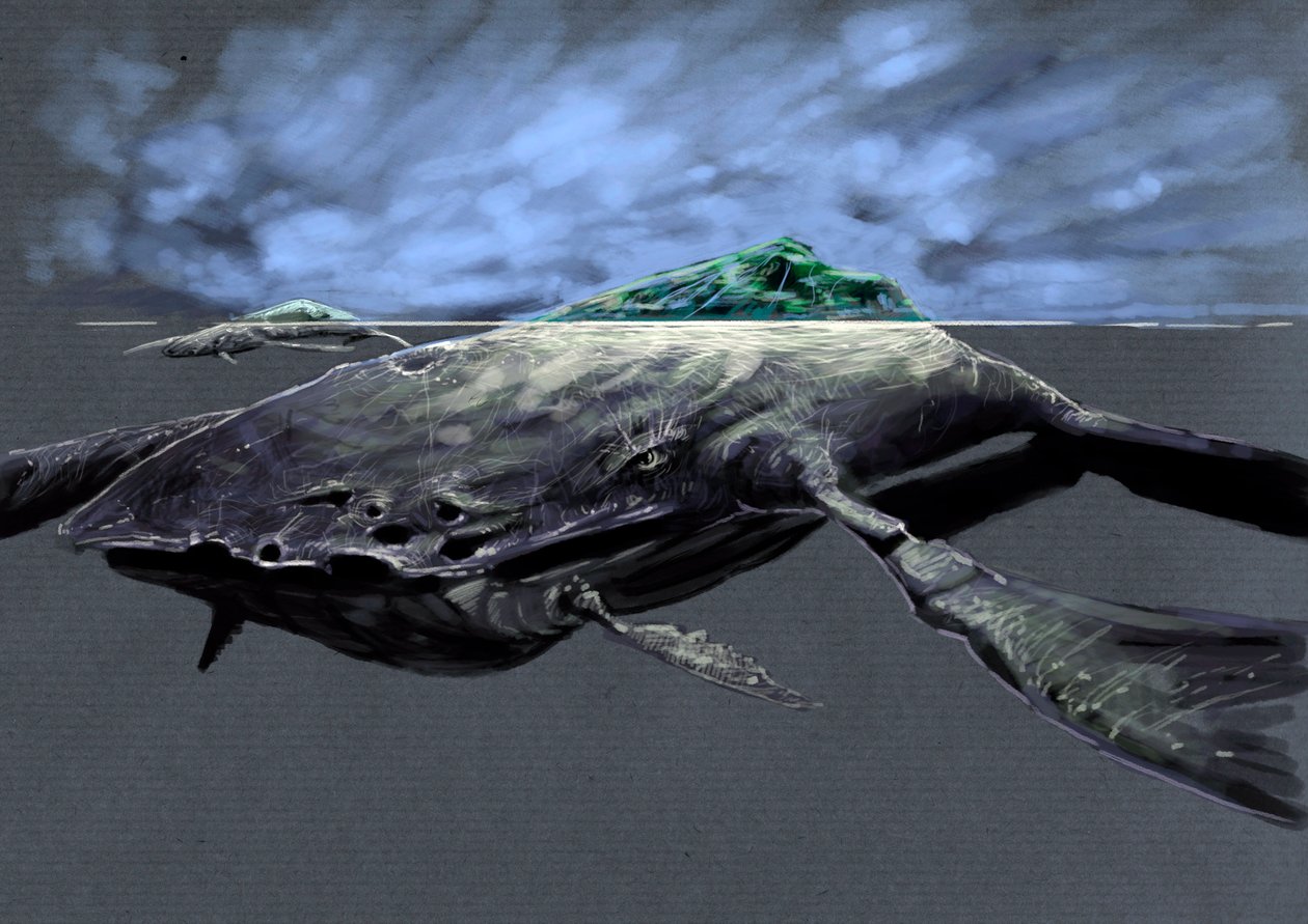 Monstruos y criaturas fantásticas, criptozoología: representación de una zaratán, tortuga marina monstruosa, parecida a una isla Dibujo de Alessandro Lonati, 2012. de Alessandro Lonati