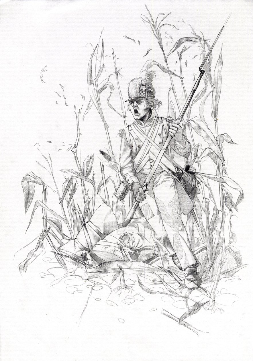 Primer imperio (1804-1814 y 1815): soldado del ejército napoleónico, soldado de infantería asalta un campo de maíz con un camarada herido. Dibujo de Alessandro Lonati de Alessandro Lonati