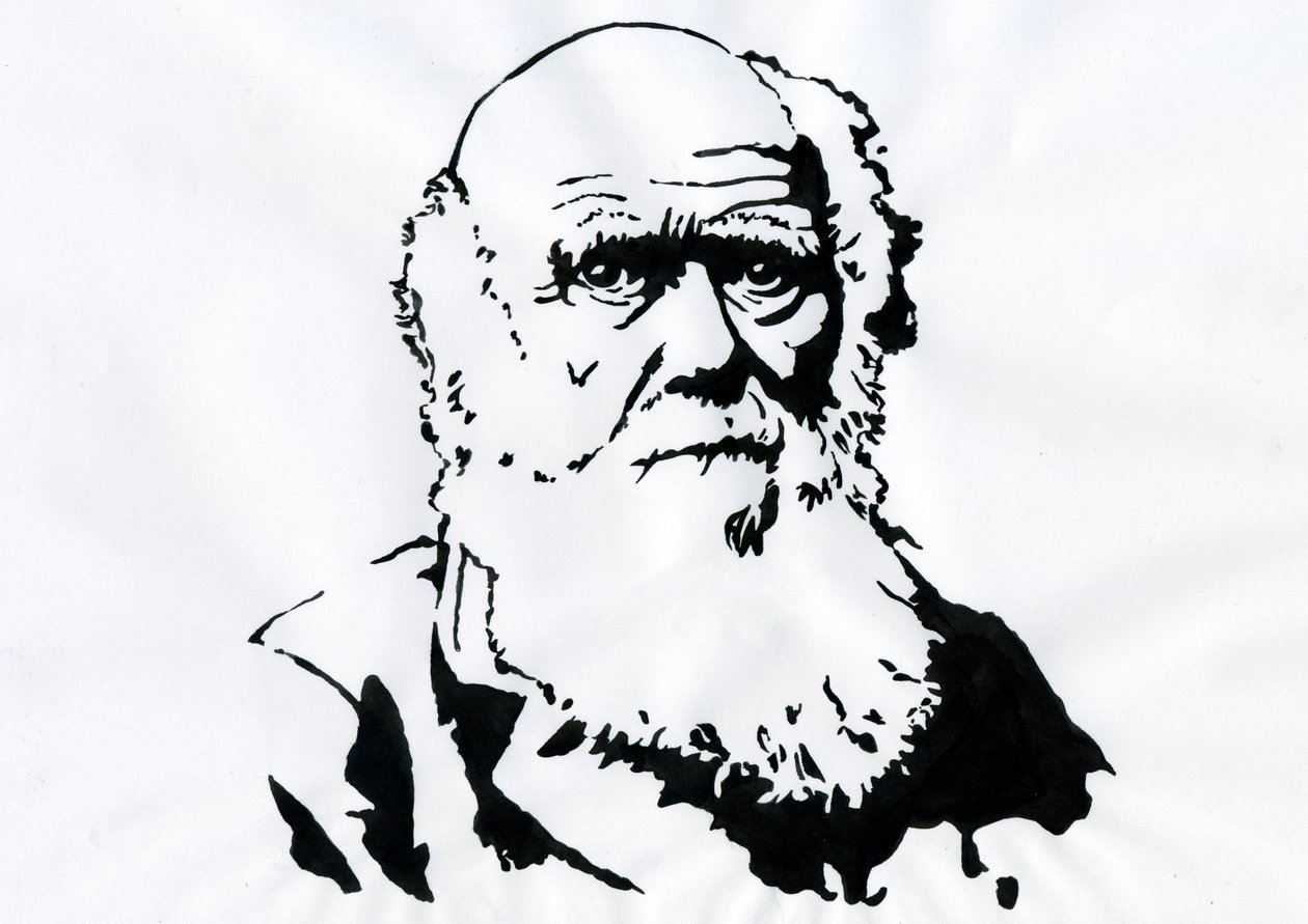 Retrato de Charles Darwin - Retrato del naturalista inglés Charles Darwin (1809-1882) Ilustración de Alessandro Lonati
