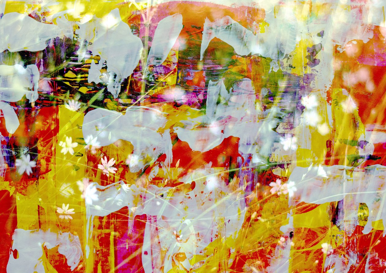 Cielo, 2019 de Alex Caminker
