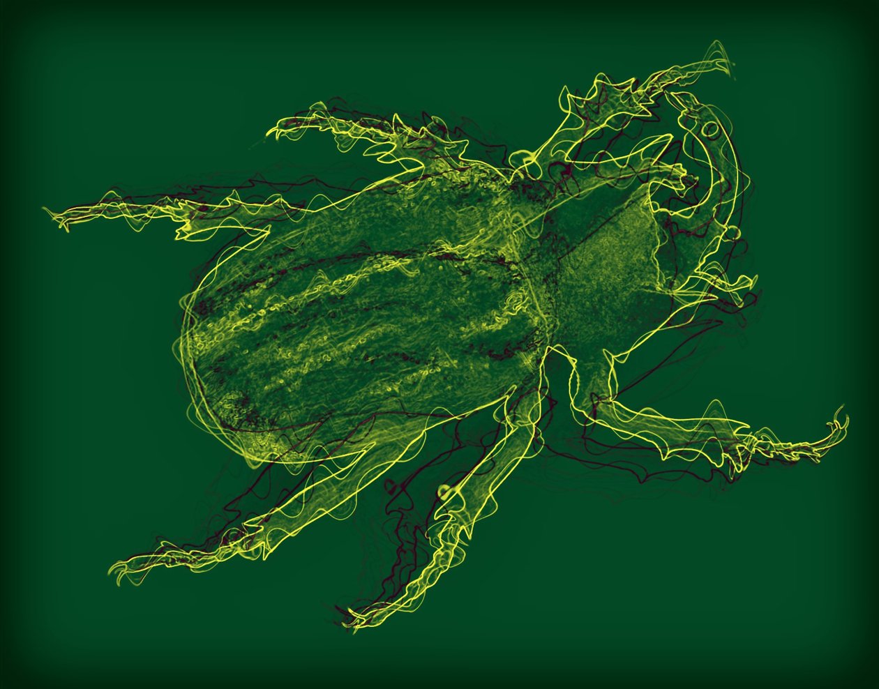 Insecto de Alex Caminker