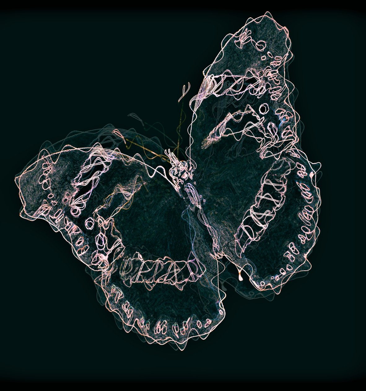 Mariposa II, 2020 de Alex Caminker