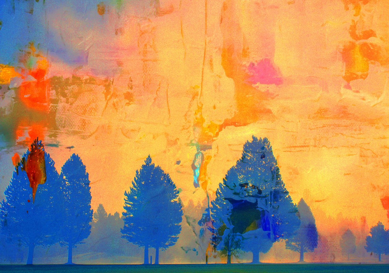 fuego frío, 2019 de Alex Caminker