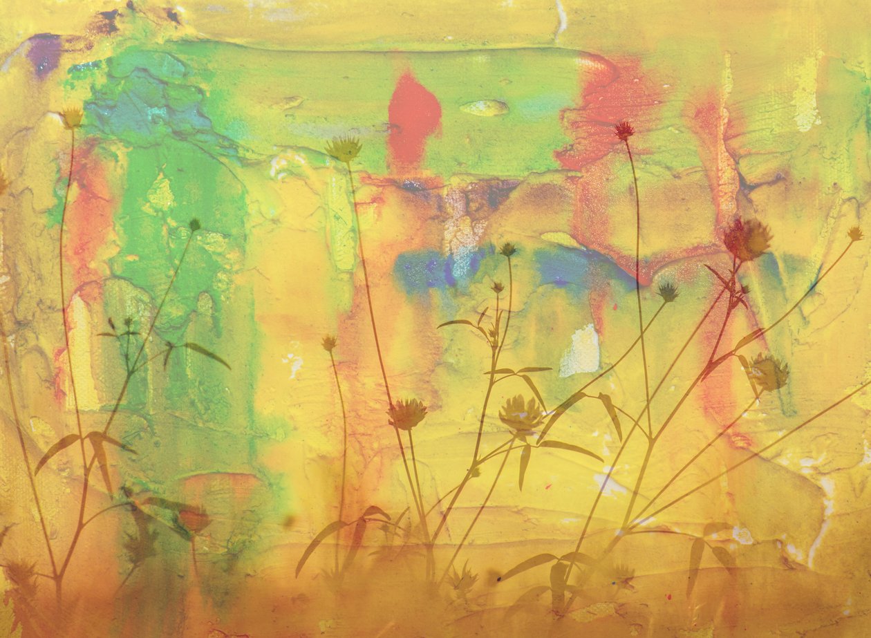 En el desierto, 2019 de Alex Caminker