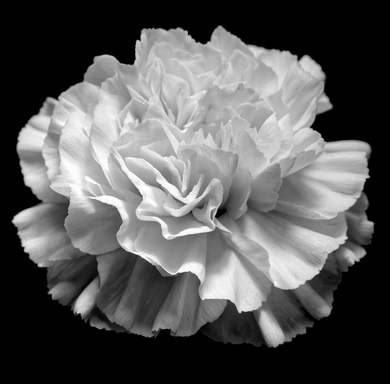 Geometría natural II de Alex Caminker