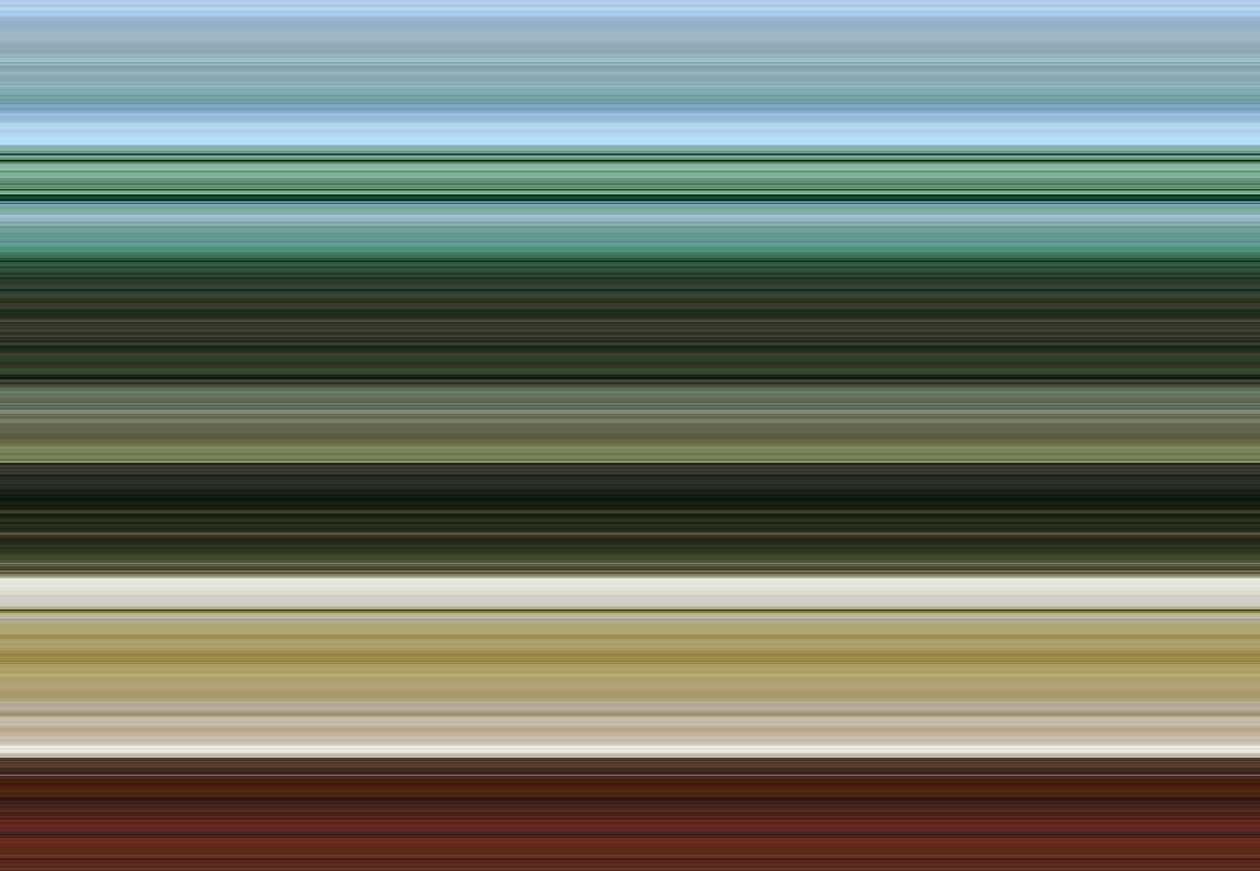 Cuerdas y trastes, 2017 de Alex Caminker