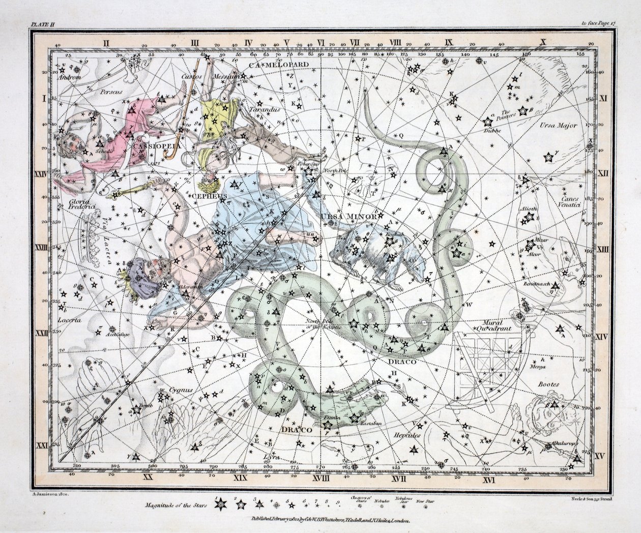 Las constelaciones (Placa II) Ursa Minor, Cassiopeia, Tarandus, Cepheus, Draco, Custos Messium, de 