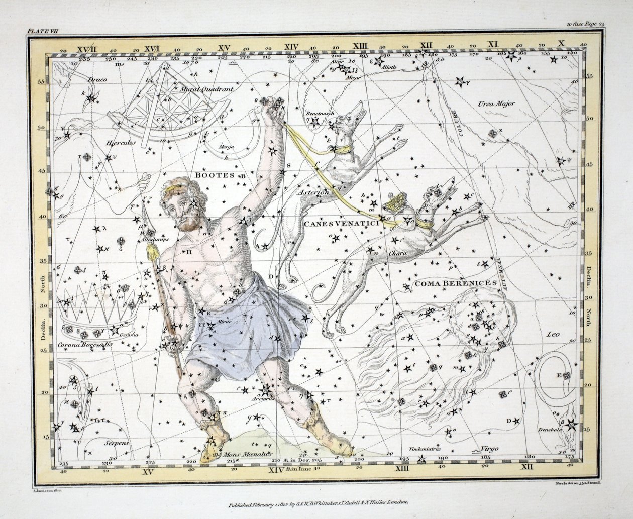 Las constelaciones (Placa VII) Bootes y Mons Maenalus, Asterion y Chara o Canes Venatici, Coma Berenices, de 