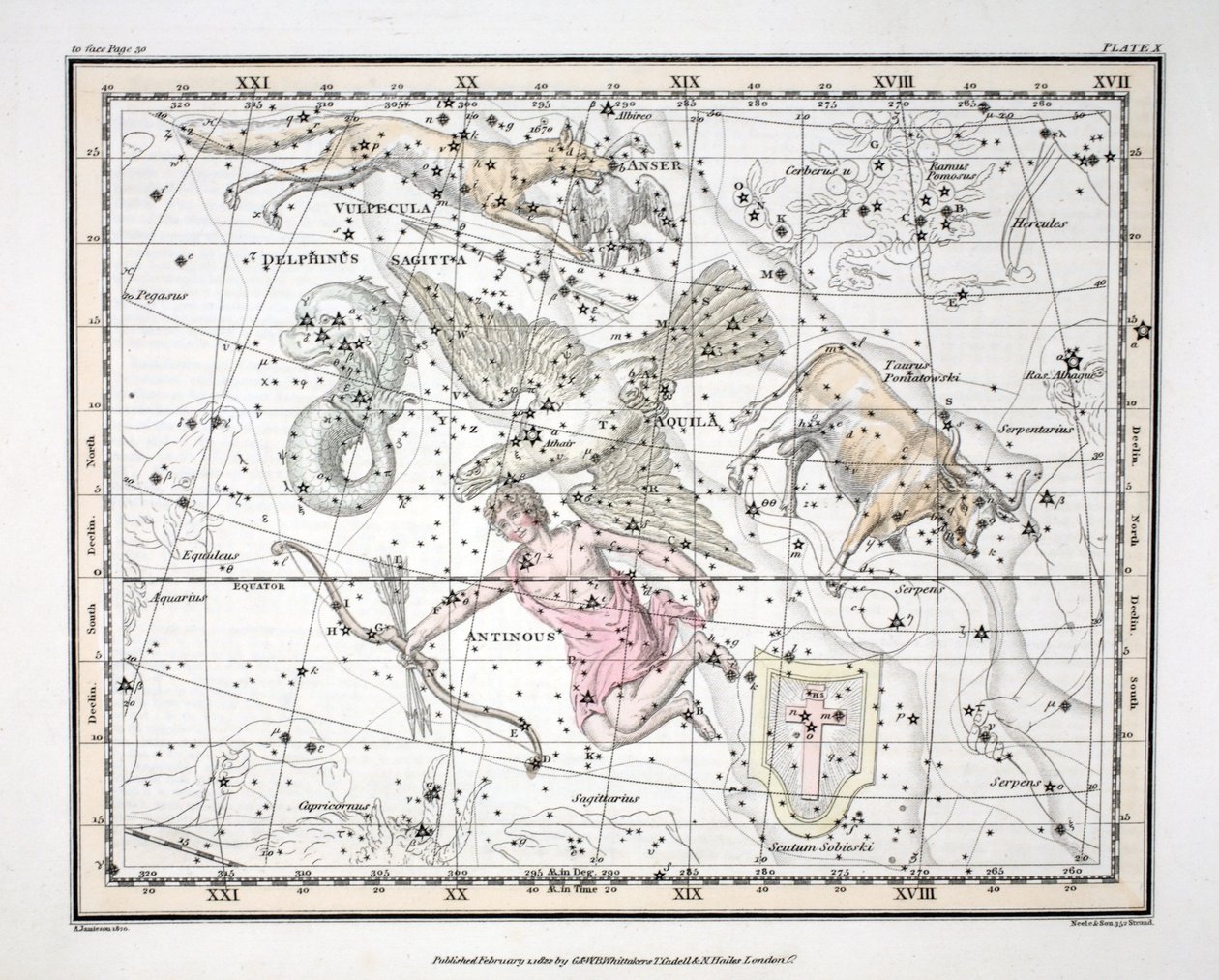 Las Constelaciones (Placa X) Aquila et Antinous, Scutum Sobieski, Taurus Poniatowski, Sagitta, Valpecula et Anser, y Delphinus, de 
